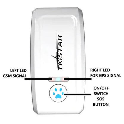 Cat GPS Tracker Locator Device for Pets ( UAE Delivery Time: 1-3 Days